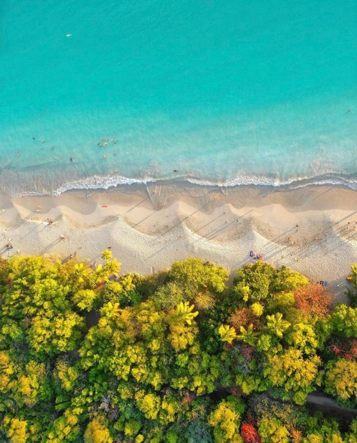 Somptueux Duplex Sur La Route Des Plages แซ็งแตนน์ ภายนอก รูปภาพ