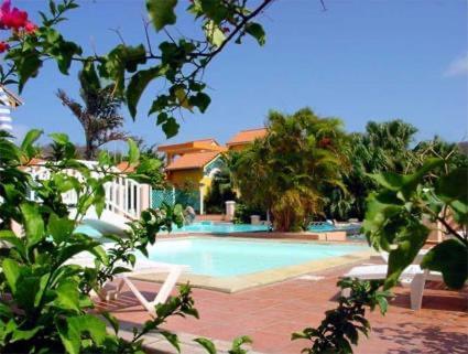 Somptueux Duplex Sur La Route Des Plages แซ็งแตนน์ ภายนอก รูปภาพ